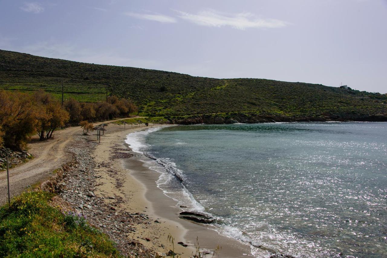 Mother'S House In Syros Aegean Sea Posidhonia  Exterior photo